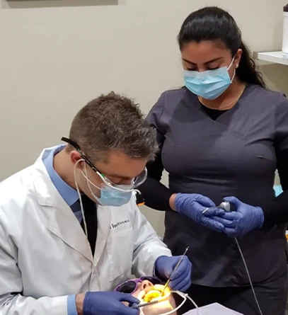 Adults With Braces Adults With Braces