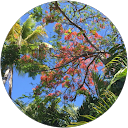 vilentron profile picture